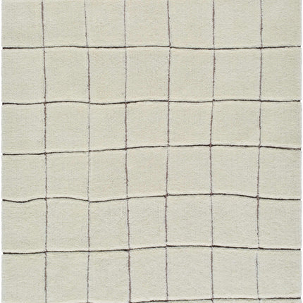 Caolan Washable Area Rug Rugs TriadCommerceInc 5' x 7' Rectangle