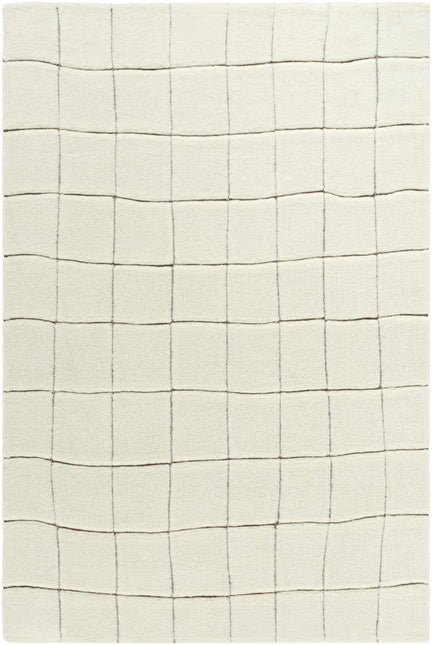 Caolan Washable Area Rug Rugs TriadCommerceInc 6' x 9' Rectangle