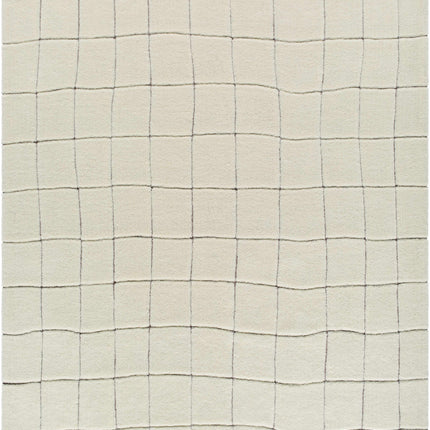 Caolan Washable Area Rug Rugs TriadCommerceInc 8' x 10' Rectangle