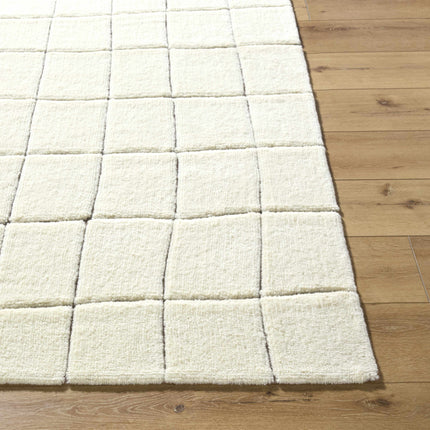Caolan Washable Area Rug Rugs TriadCommerceInc