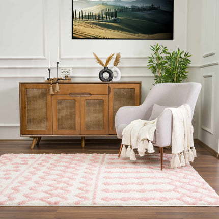 Darva Pink Plush Area Carpet Rugs TriadCommerceInc
