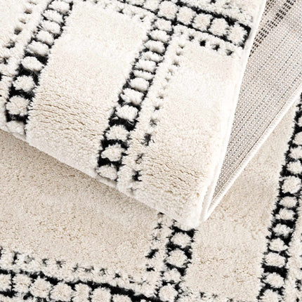 Ryuu Black & White Area Rug Rugs TriadCommerceInc