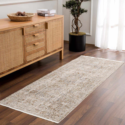 Aistys Washable Outdoor Rug - Promo Rugs TriadCommerceInc