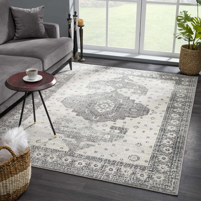 Marash 4605 Gray Area Carpet - Clearance Rugs TriadCommerceInc