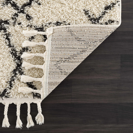Emlenton Berber Shag with Tassels - Clearance Rugs TriadCommerceInc