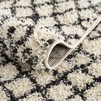 Muni Berber Shag Rug - Clearance Rugs TriadCommerceInc