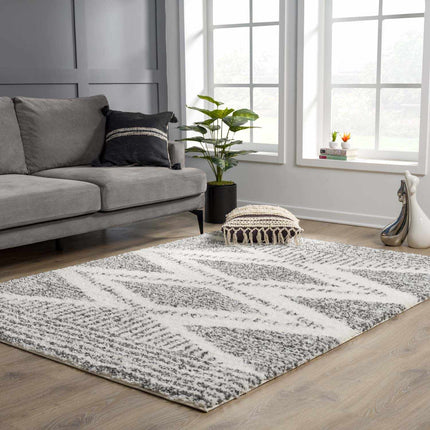 Trunding Plush Area Rug Rugs TriadCommerceInc