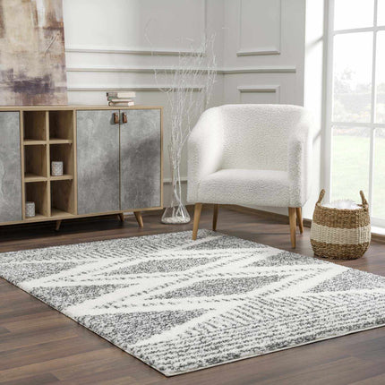 Trunding Plush Area Rug Rugs TriadCommerceInc 5'3" x 7'3" Rectangle