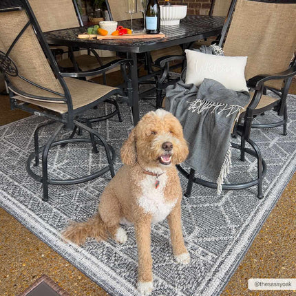 Diah Black & Bone Area Rug - Clearance Rugs TriadCommerceInc 7'6" x 10' Rectangle