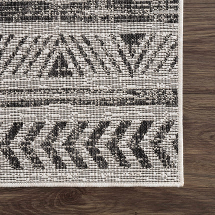Catrine Indoor & Outdoor Rug - Clearance Rugs TriadCommerceInc