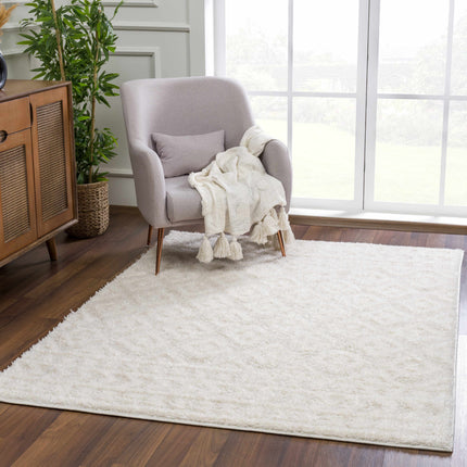 Eivin Cream Diamonds Plush Rug Rugs TriadCommerceInc