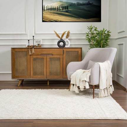 Eivin Cream Diamonds Plush Rug Rugs TriadCommerceInc 5'3" x 7' Rectangle