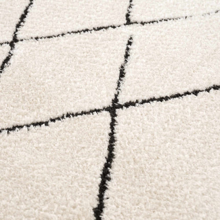 Keone Black & White Area Rug Rugs TriadCommerceInc 6'7" x 9' Rectangle