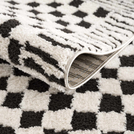 Leryn Black & White Checkered Area Rug Rugs TriadCommerceInc