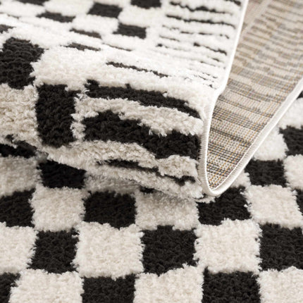 Leryn Black & White Checkered Area Rug Rugs TriadCommerceInc
