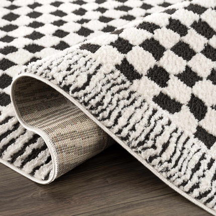 Leryn Black & White Checkered Area Rug Rugs TriadCommerceInc