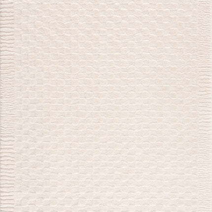 Leryn Ivory Checkered Area Rug Rugs TriadCommerceInc