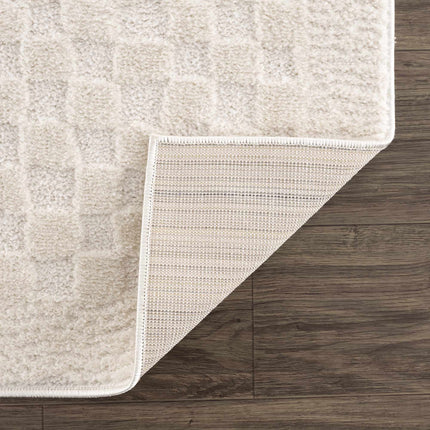 Leryn Ivory Checkered Area Rug Rugs TriadCommerceInc
