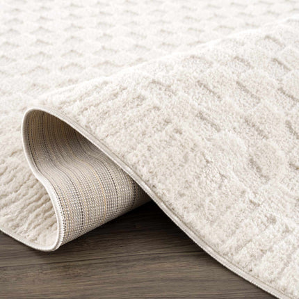 Leryn Ivory Checkered Area Rug Rugs TriadCommerceInc