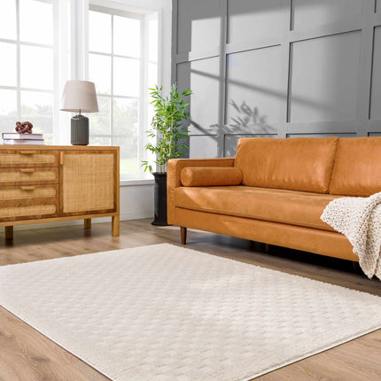 Leryn Ivory Checkered Area Rug Rugs TriadCommerceInc