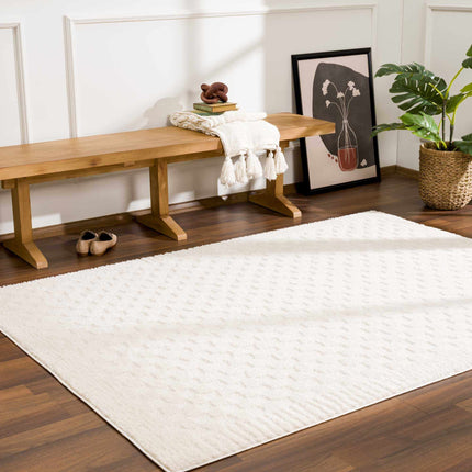 Leryn Ivory Checkered Area Rug Rugs TriadCommerceInc