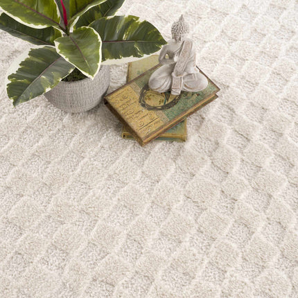Leryn Ivory Checkered Area Rug Rugs TriadCommerceInc