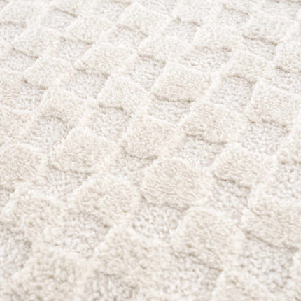 Leryn Ivory Checkered Area Rug Rugs TriadCommerceInc 2'8" x 7'3" Runner