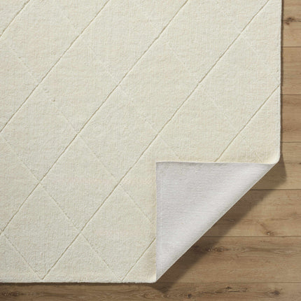 Almeda Washable Area Rug Rugs TriadCommerceInc