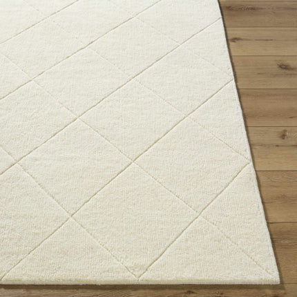 Almeda Washable Area Rug Rugs TriadCommerceInc
