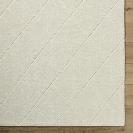 Almeda Washable Area Rug Rugs TriadCommerceInc