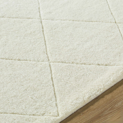 Almeda Washable Area Rug Rugs TriadCommerceInc