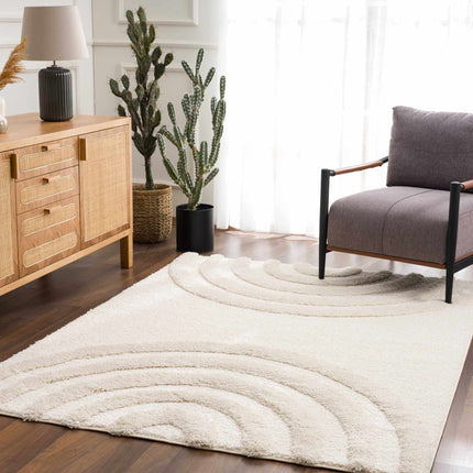 High-Low Shag Rainbow Rug - Clearance Rugs TriadCommerceInc * 6'7" x 9' Rectangle