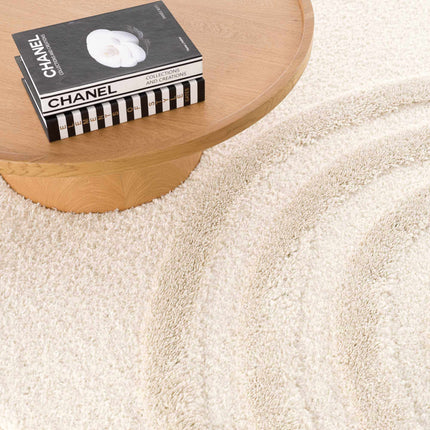 High-Low Shag Rainbow Rug - Clearance Rugs TriadCommerceInc