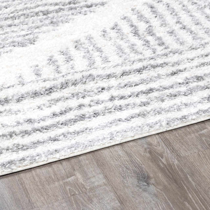 Trunding Plush Area Rug in Gray Rugs TriadCommerceInc