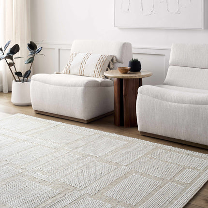 Alayka Area Rug Rugs TriadCommerceInc