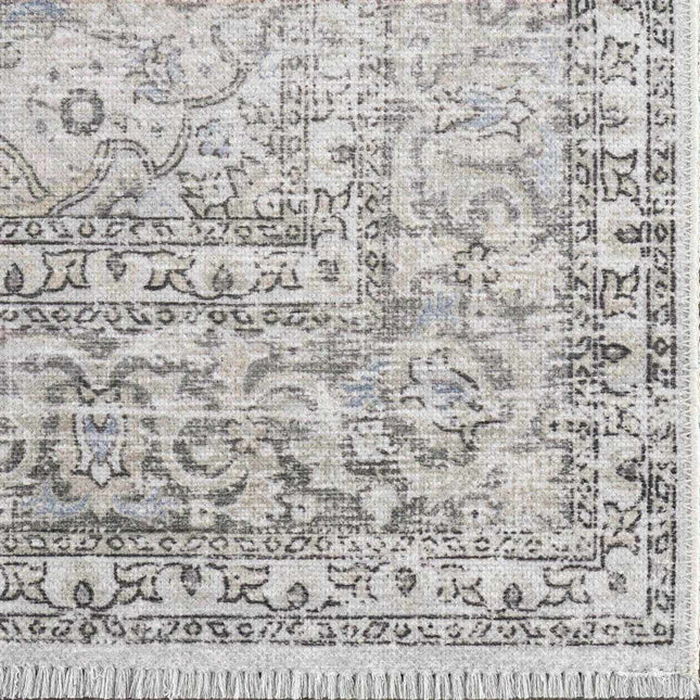Cream Holi-2301 Washable Area Rug Rugs TriadCommerceInc 2' x 3' Rectangle