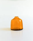 Marigold