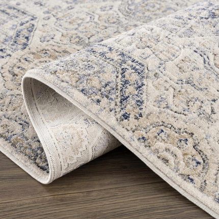Parkerfield Cream & Blue Area Rug Rugs TriadCommerceInc