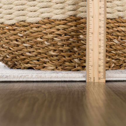 Parkerfield Cream & Blue Area Rug Rugs TriadCommerceInc