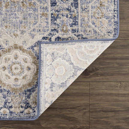 Parkerfield Blue Area Rug Rugs TriadCommerceInc