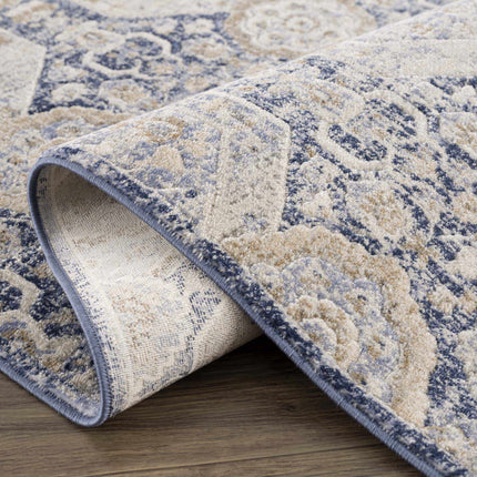Parkerfield Blue Area Rug Rugs TriadCommerceInc