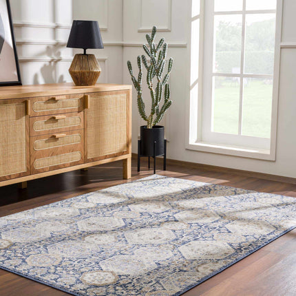 Parkerfield Blue Area Rug Rugs TriadCommerceInc