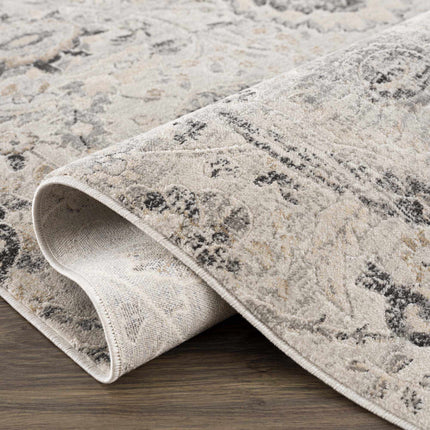 Georgiana Area Rug Rugs TriadCommerceInc