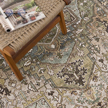 Neyland Sage Green Area Rug Rugs TriadCommerceInc