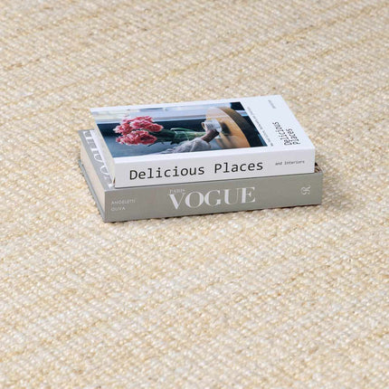 Iantha Jute Rug Rugs TriadCommerceInc