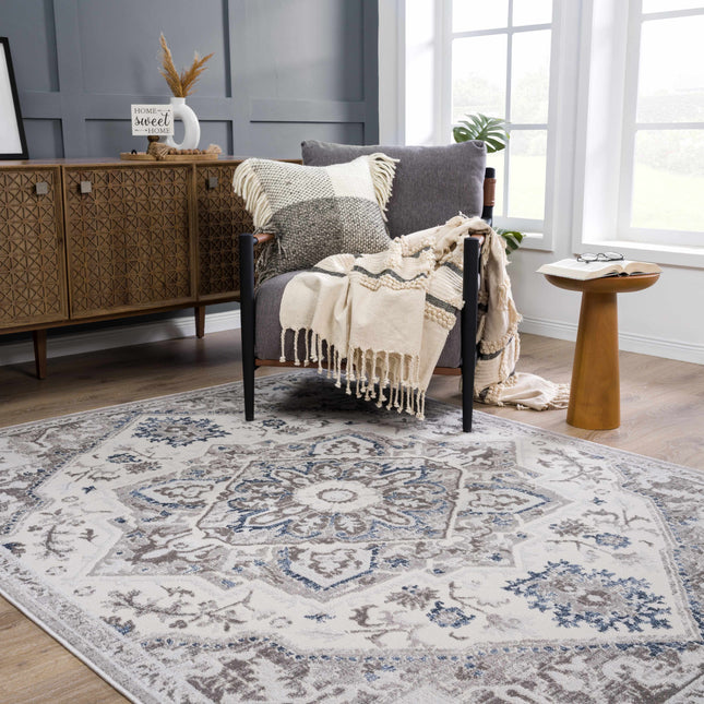 Bakir Area Rug Rugs TriadCommerceInc