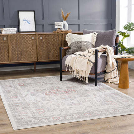 Damla Area Rug Rugs TriadCommerceInc