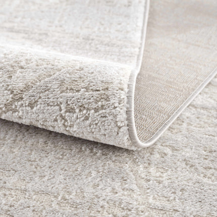 Basia Area Rug Rugs TriadCommerceInc