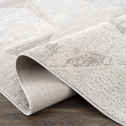 Basia Area Rug Rugs TriadCommerceInc