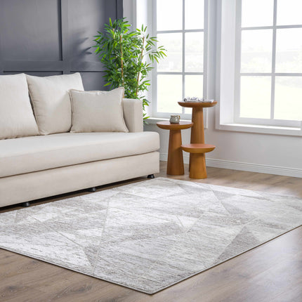 Basia Area Rug Rugs TriadCommerceInc